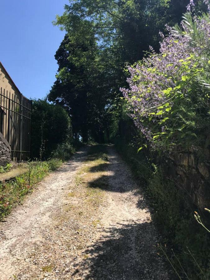 Antica Dimora Di Laura Apartamento Barberino di Mugello Exterior foto